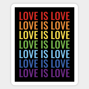 Love is love Magnet